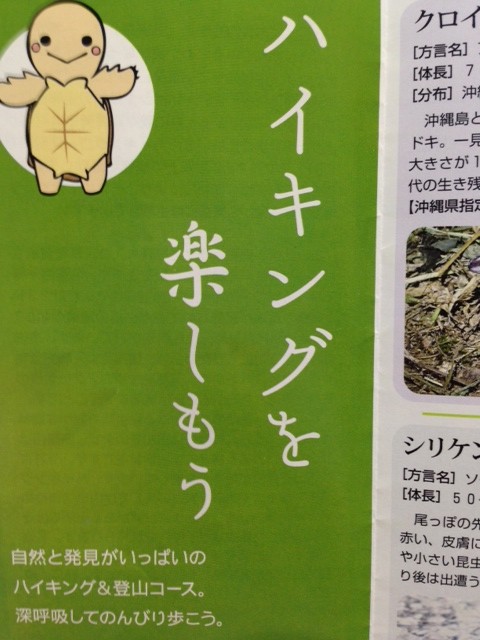 バイキングを楽しもうっ‼ 笑