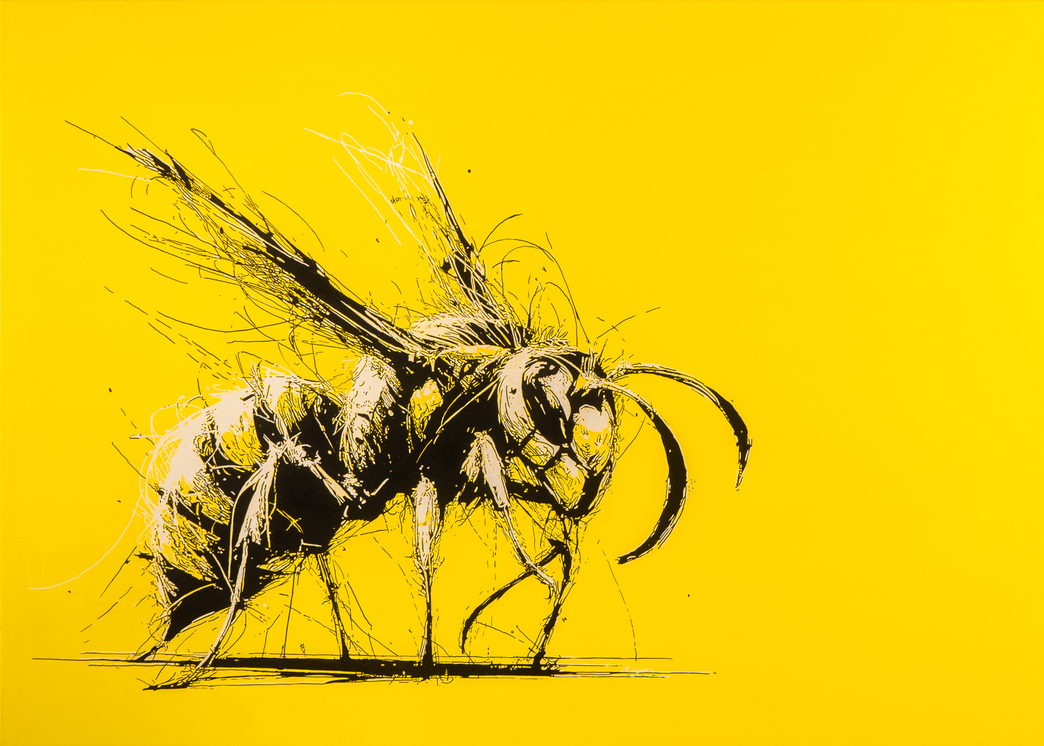 EN GARDE, Wild Sketches, Martin Lingens, 2024, Acryl