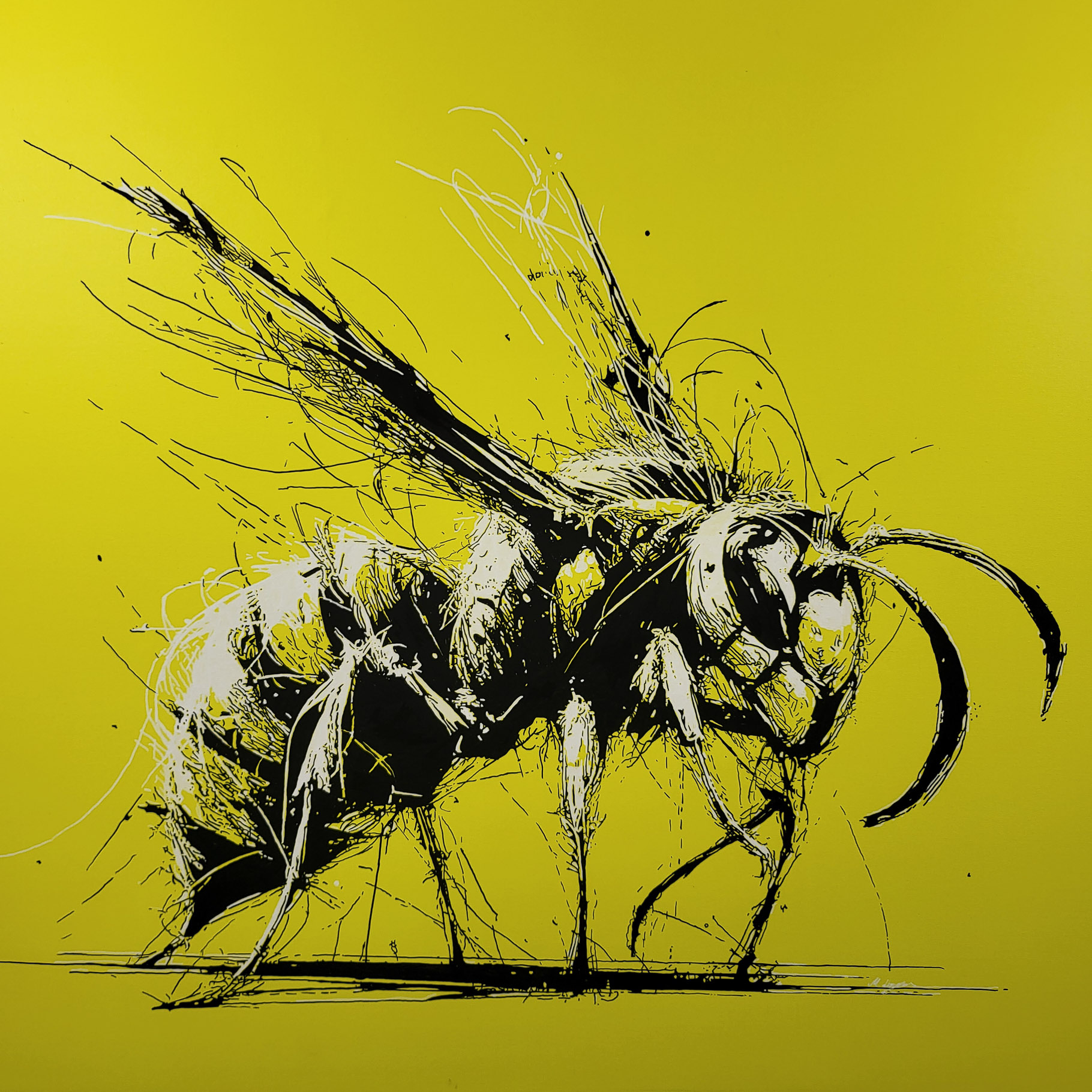 Nahaufnahme von "EN GARDE", Künstler Martin Lingens, WILD SKETCHES Serie, Wespe