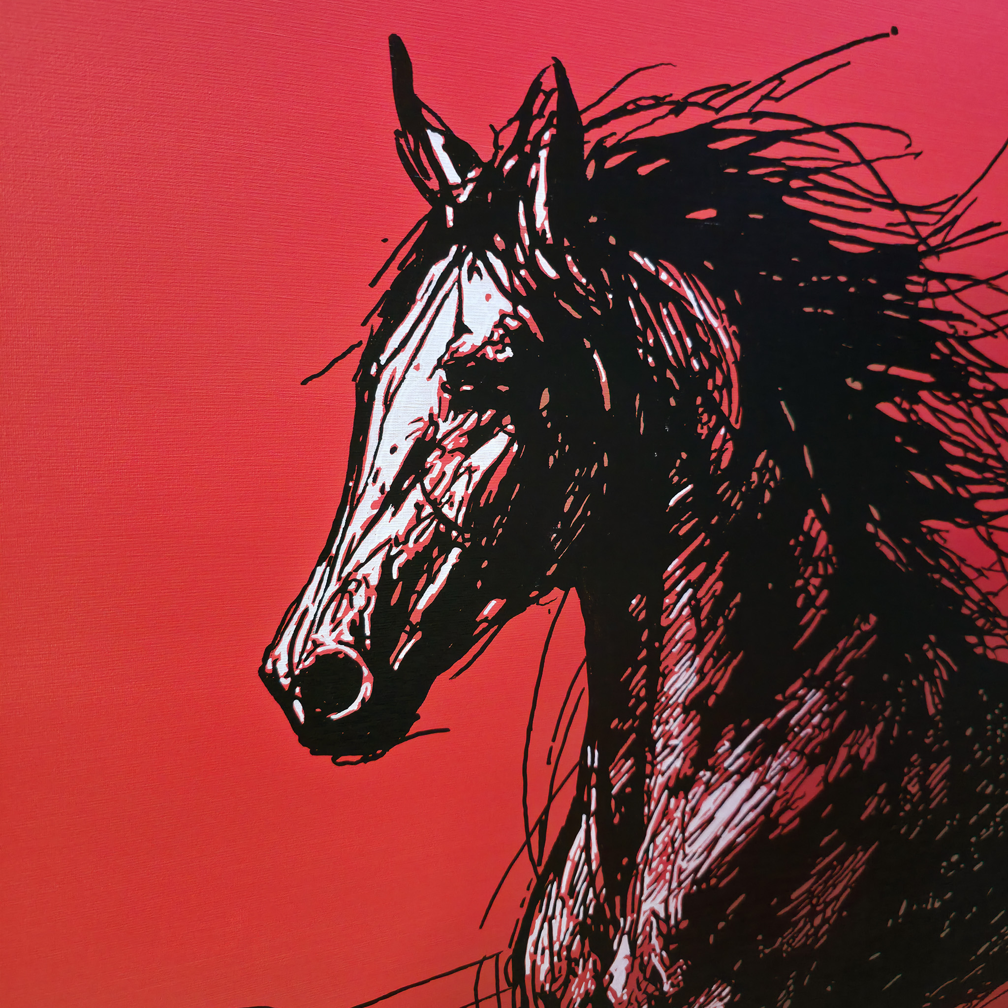 BLAZING – Detail Kopf des Araberpferdes, Blickrichtung links, Mähne und Konturen in Schwarz auf Rot