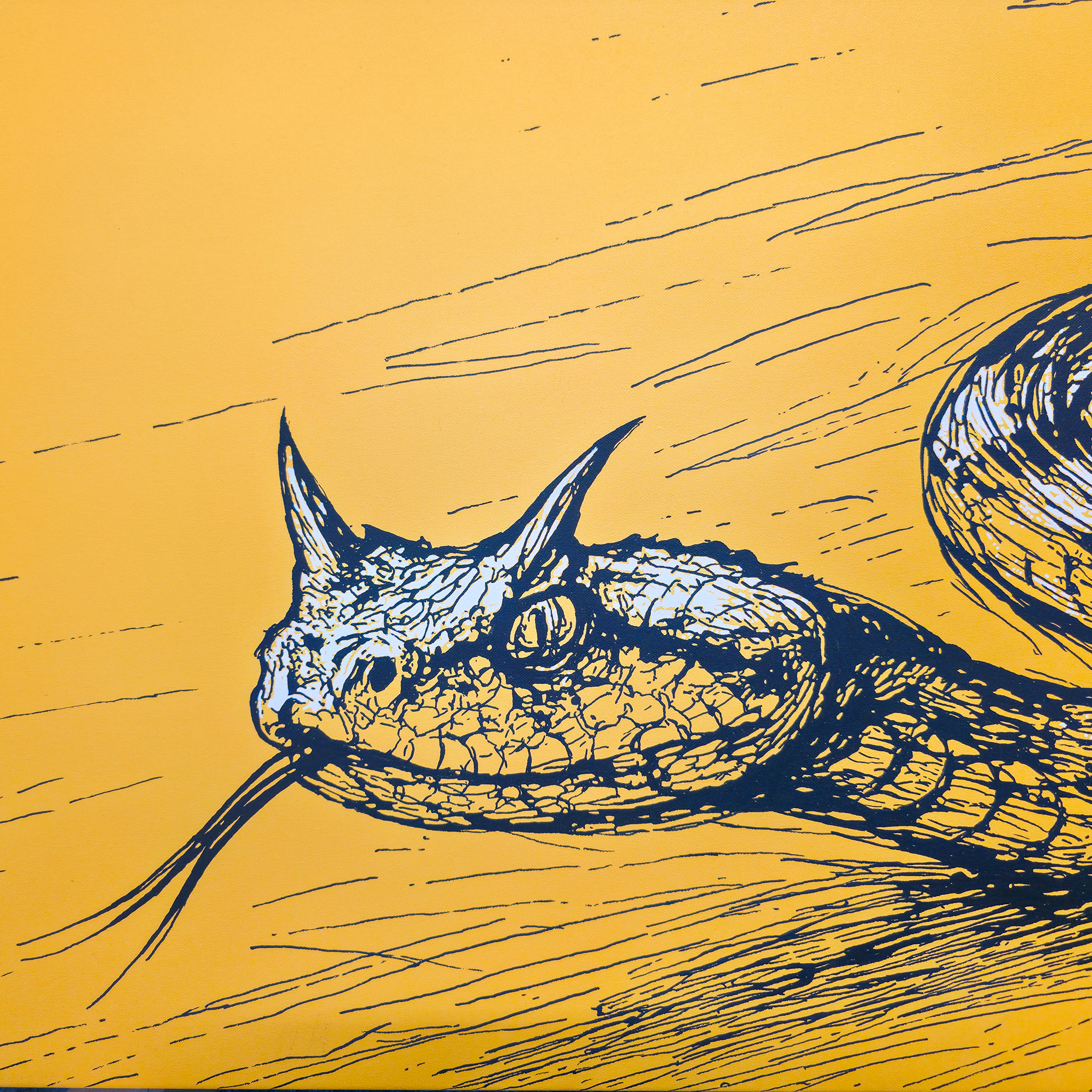 Nahaufnahme Kopf von SHIFTING SANDS von Martin Lingens, WILD SKETCHES Serie