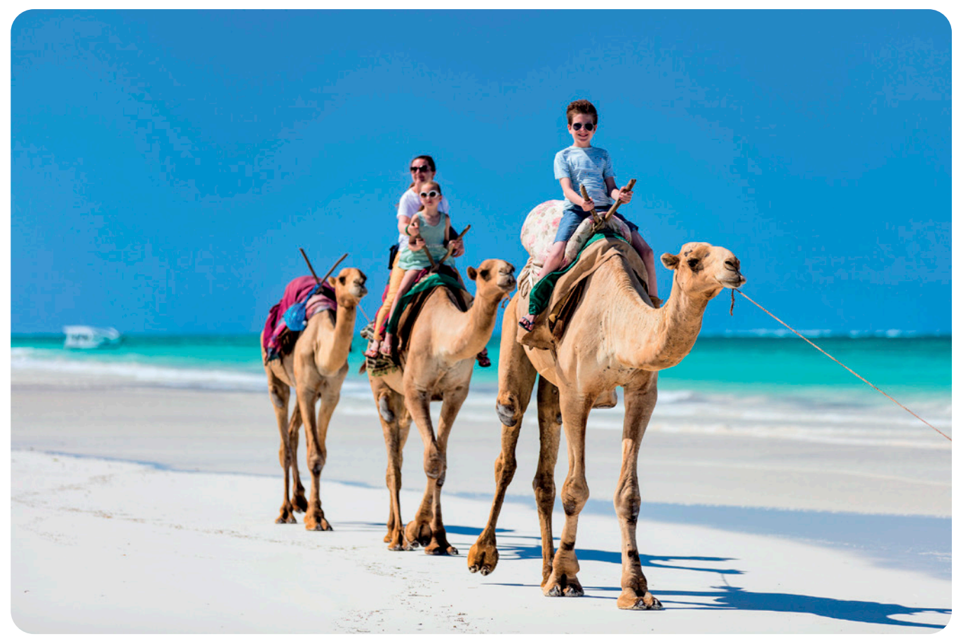 Ride a camel