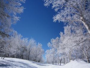 信州 菅平 峰の原高原のペンションきら星 ペンションきら星 信州 菅平 峰の原高原のペンションきら星 ペンションきら星