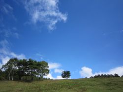 高原の風景