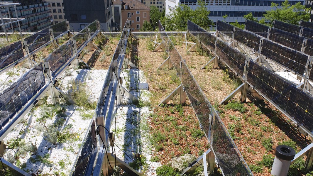 Solaranlage mit einer vertikalen Aufständerung und bifazialen Modulen
