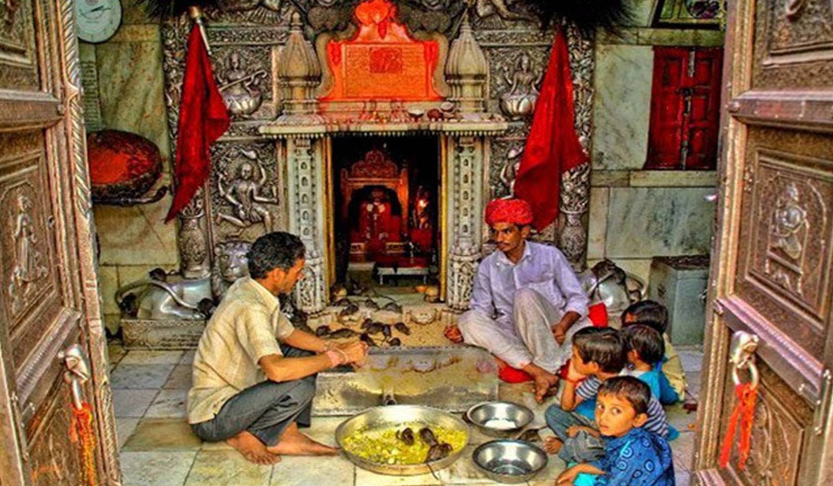 Der Rattentempel Indien