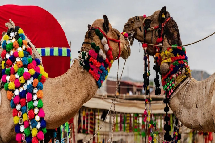 Entdeckung Indiens über Rajasthan Royals Mumbai Sehenswürdigkeiten Udaipur Indien Sehenswürdigkeiten Rajasthan Haveli Pushkar Brahma Tempel Mehrangahr Fort Jodhpur Palast der Winde Agra Taj Mahal beim Sonnenaufgang Delhi Sehenswürdigkeiten