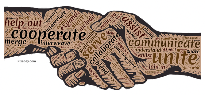 Cooperation, Aggression and Stress