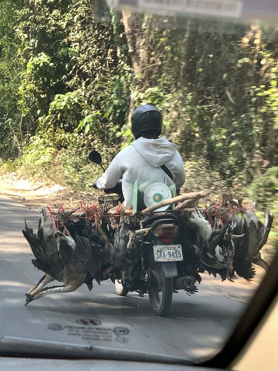 移動販売