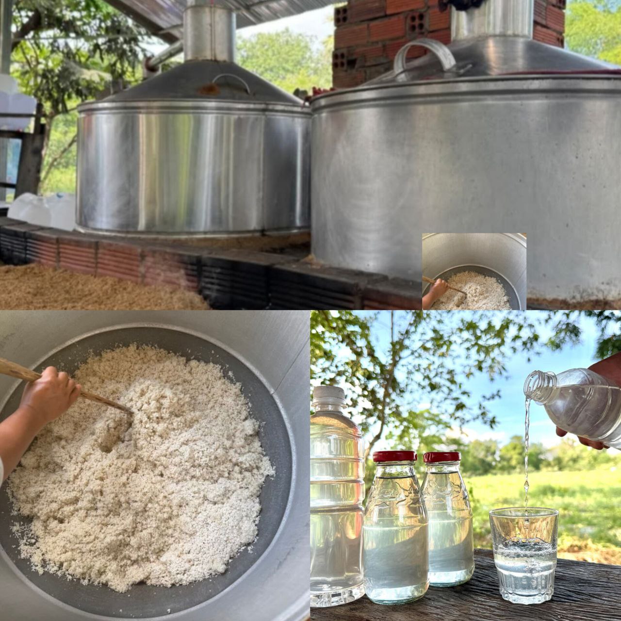 焼酎を作り