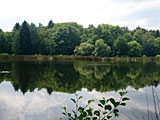 Foto: NABU Ilm-Kreis