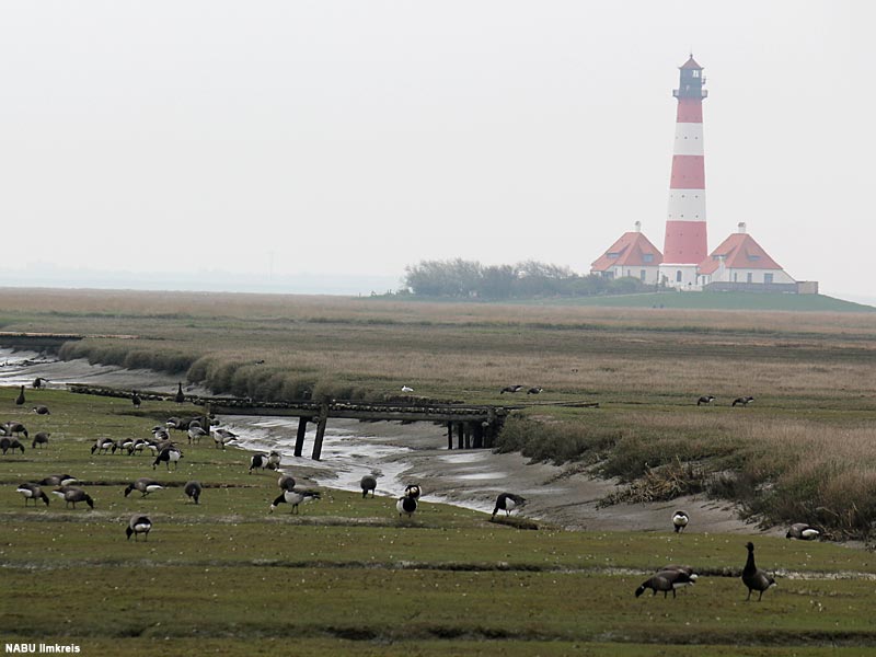 2014: Nationalpark Schleswig-Holsteinisches Wattenmeer