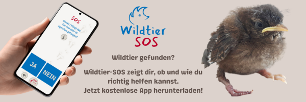 Quelle: https://www.wildtier-sos.de/promotional-material