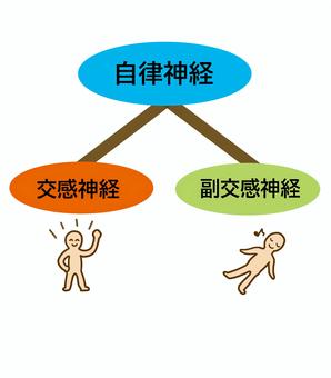 NO.104　自律神経の乱れ
