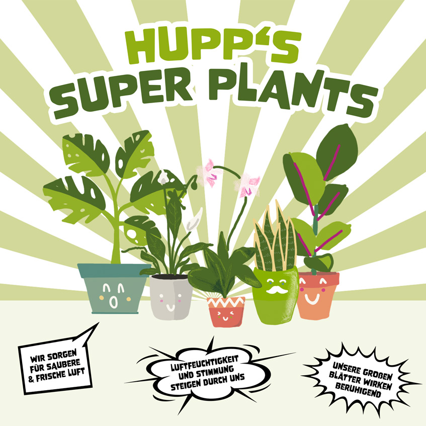 Hupp's Super Plants - unsere 5 Superhelden für dein Zuhause