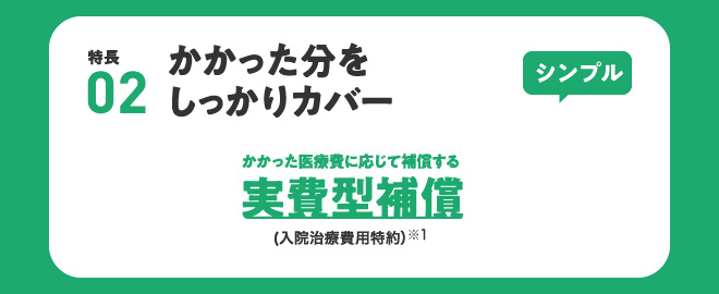 スマホ　若年層　簡単　損保　充実　実費　割安　ジャパン　入院　手術　
