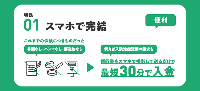スマホ　若年層　簡単　損保　充実　実費　割安　ジャパン　入院　手術　