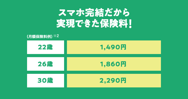 スマホ　若年層　簡単　損保　充実　実費　割安　ジャパン　入院　手術　