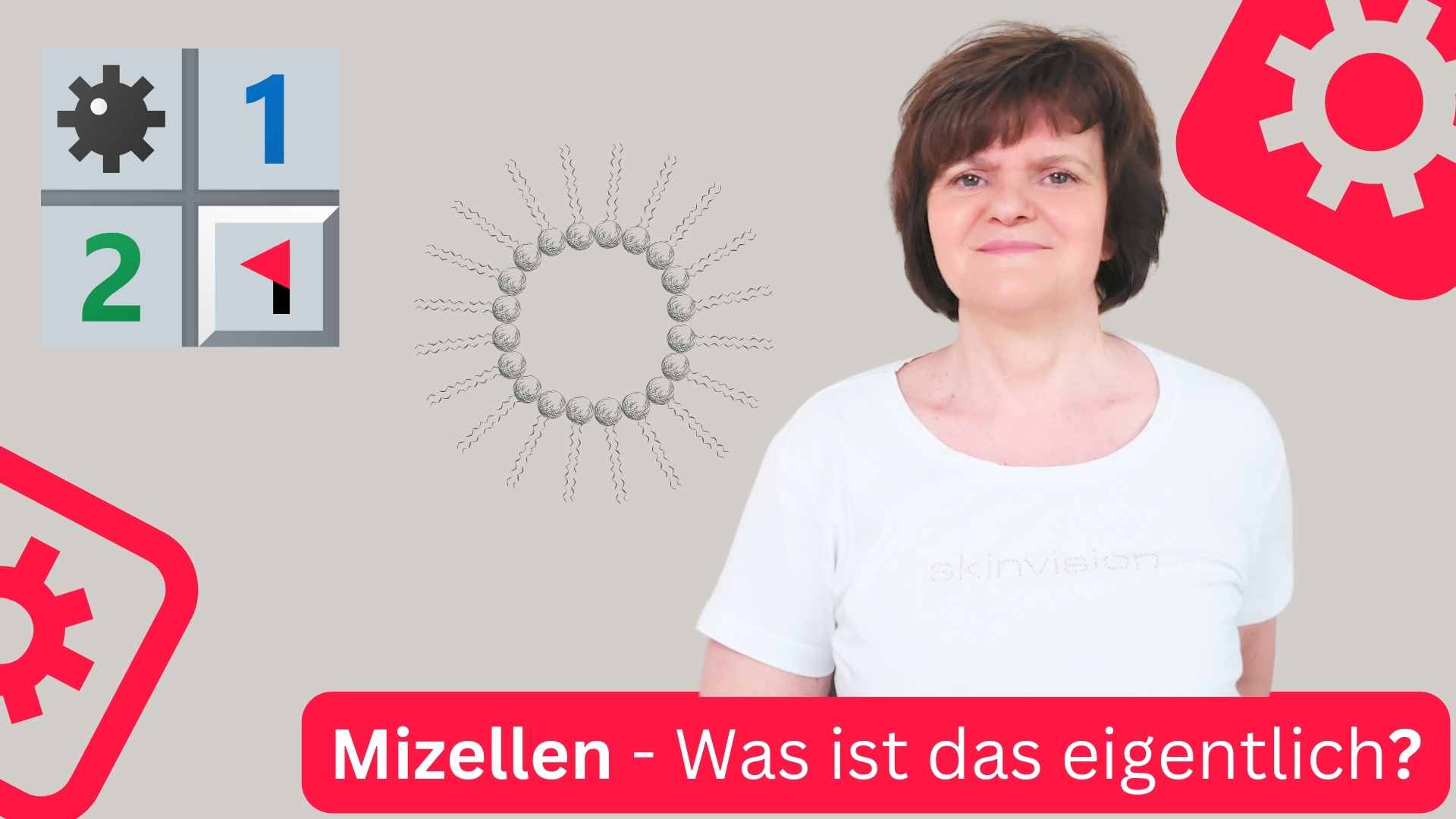 Was sind Mizellen