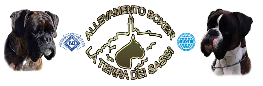 Allevamento Boxer la Terra dei Sassi