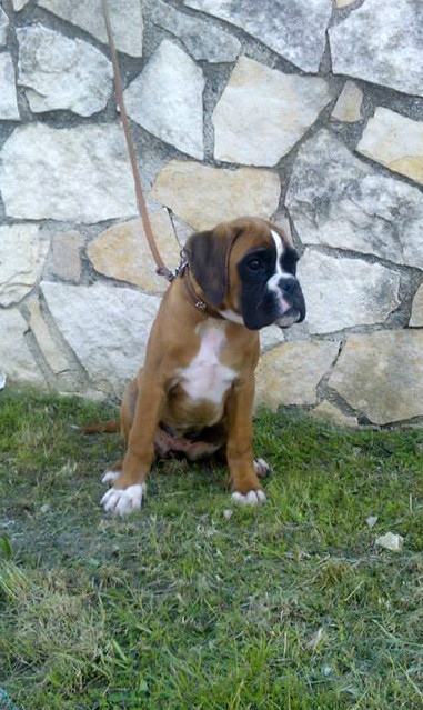 Scarlet 3 mesi