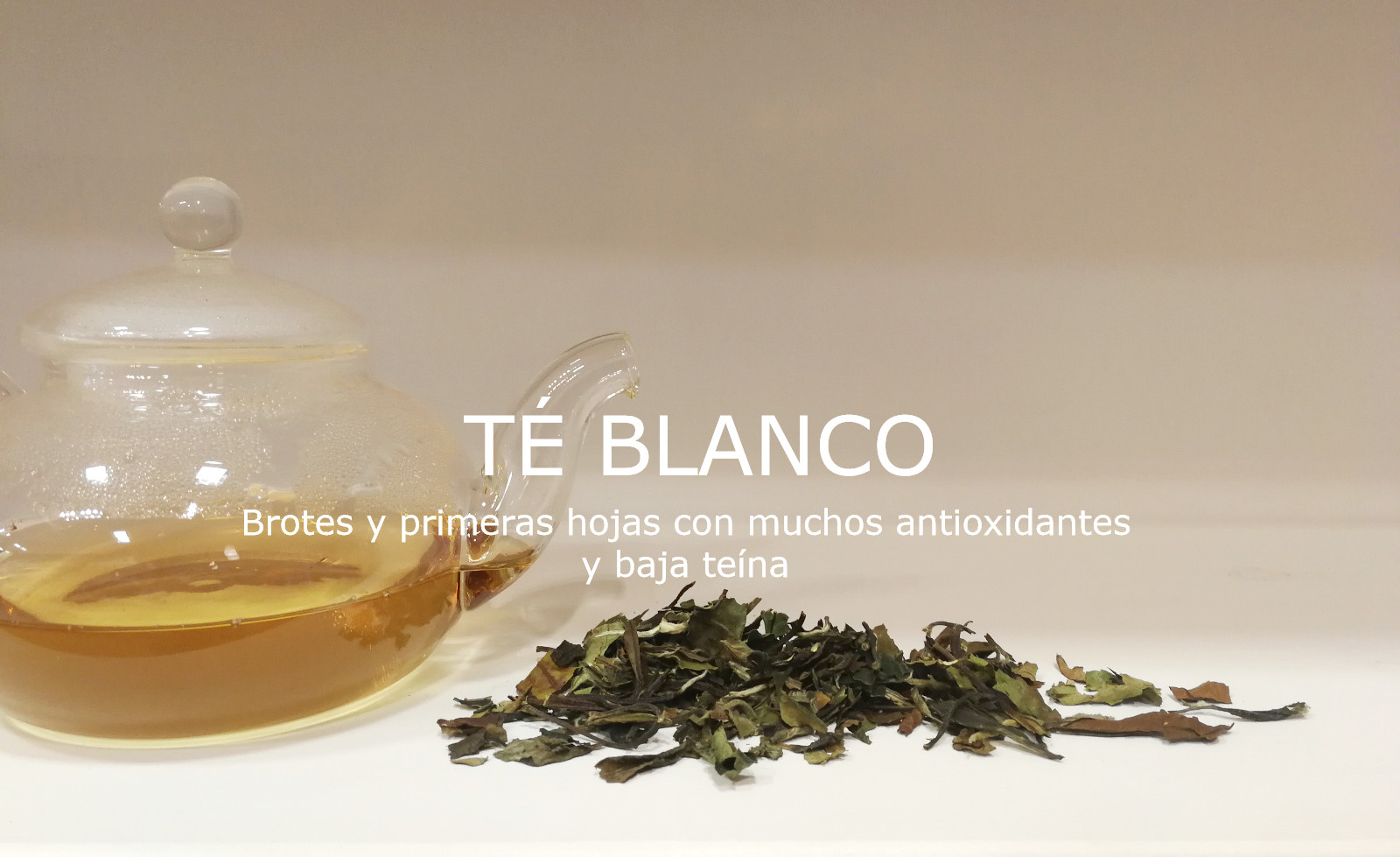 Comprar Té blanco Tienda de Té Online Sakura té & bienestar