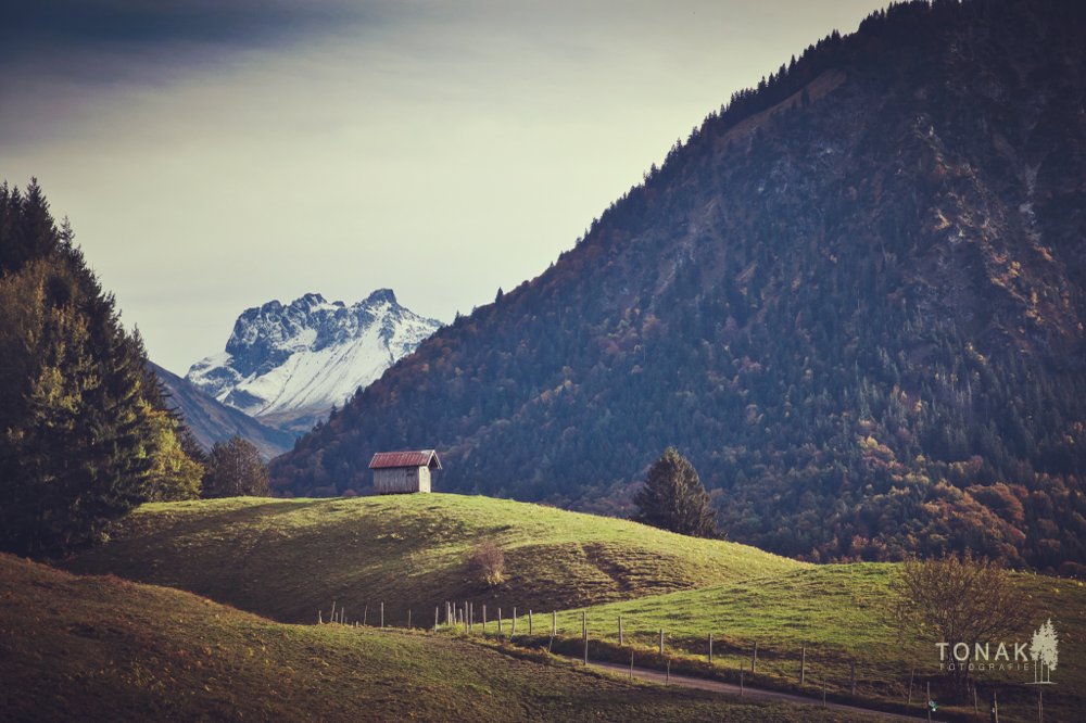 (c) www.tonak-fotografie.de