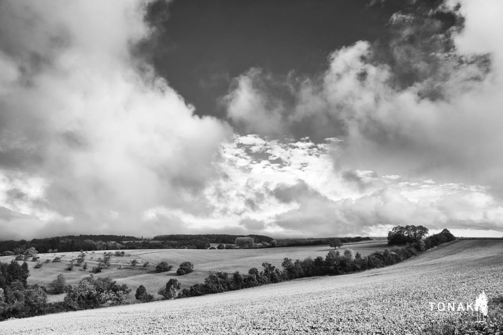 (c) www.tonak-fotografie.de