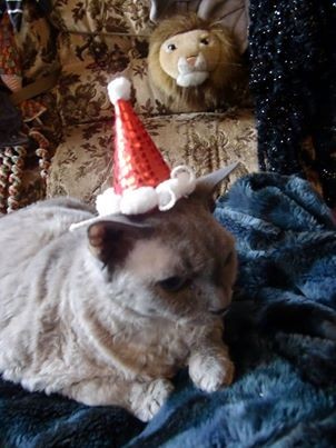 Janvier 2014 : Boubouille de Momo Fuente