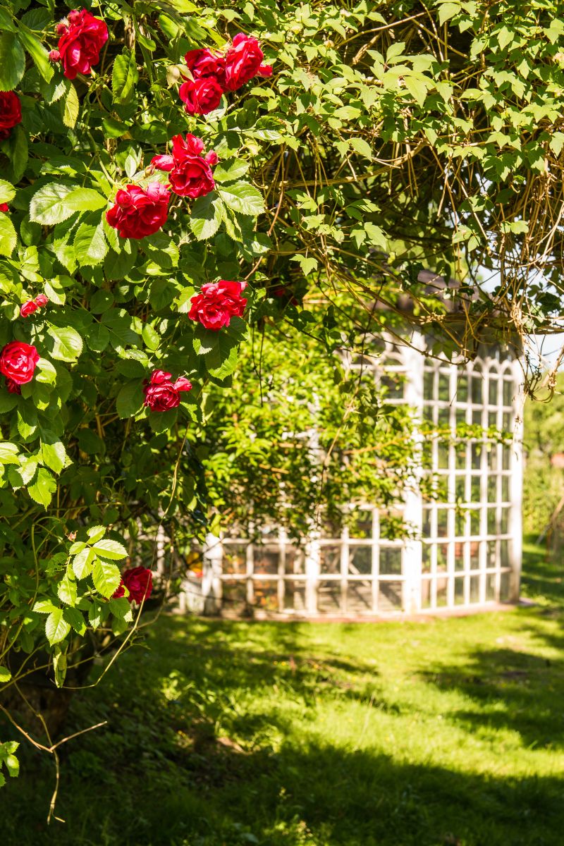 Pavillon mit Rosen #AltesForstamtimteutoburgerwald#