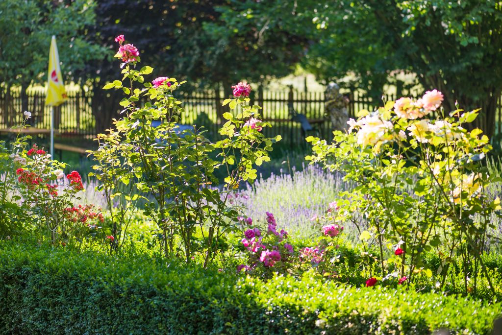 Blütenpracht im Garten Altes Forstamt im Teutoburger Wald