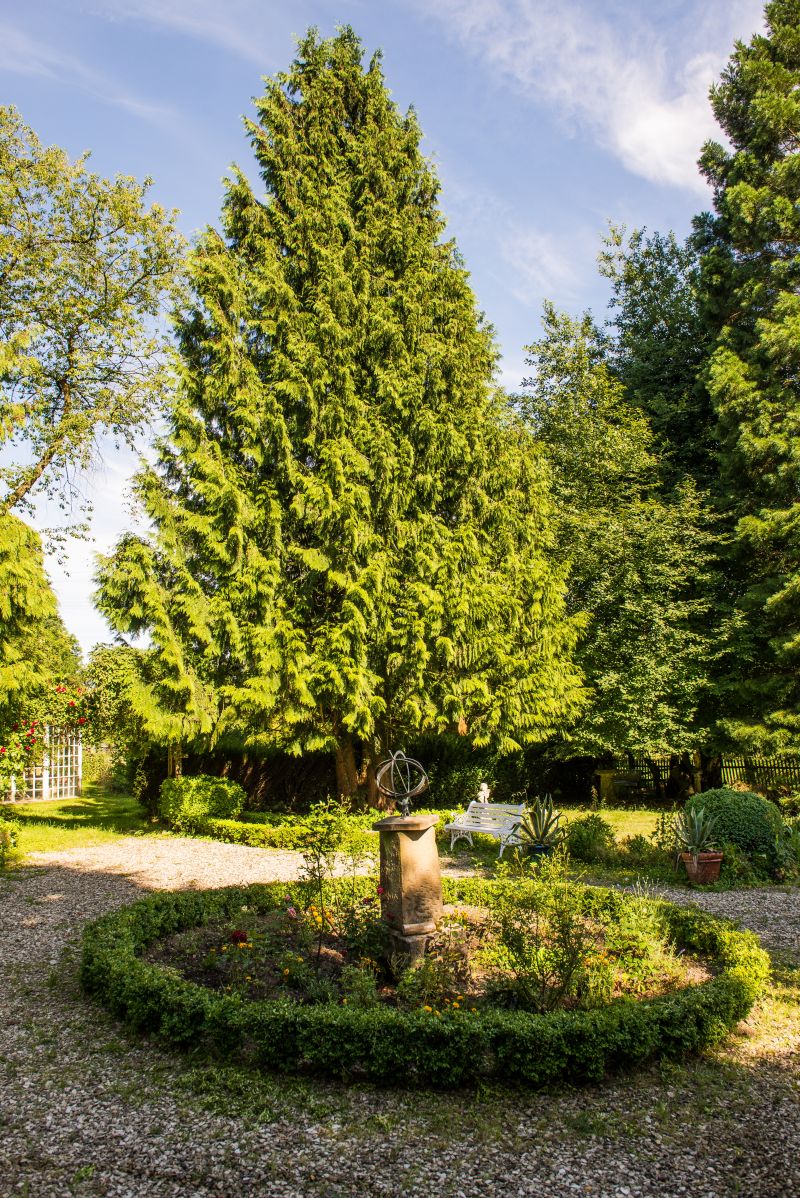 Der Garten im Sommer #AltesForstamtimteutoburgerwald#