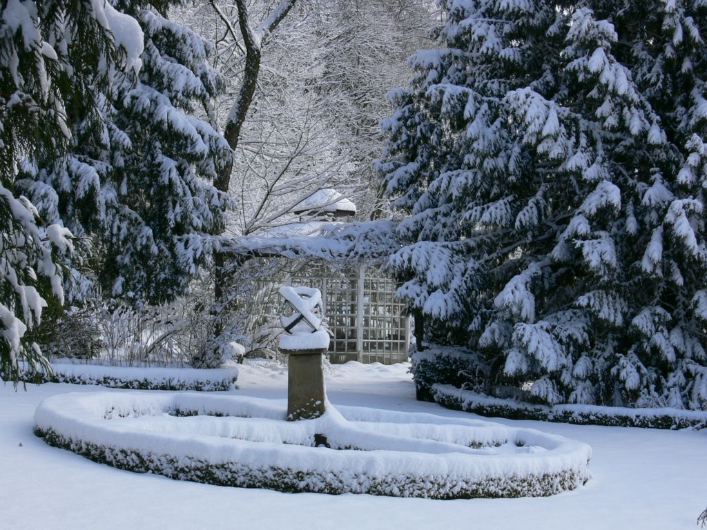 Winterszene im Garten #AltesForstamtimteutoburgerwald#