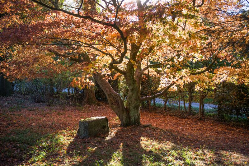 Altes Forstamt im Teutoburger Wald Ferienwohnungen im Alten Forstamt im Teutoburger Wald