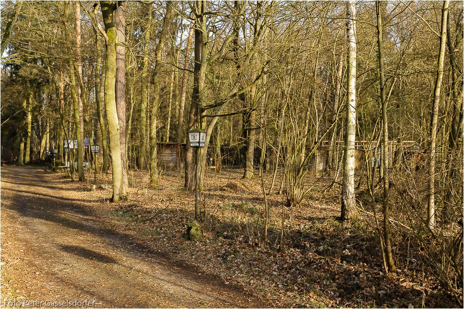 Die Volieren liegen mitten im Wald.