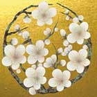 NO.14 白梅