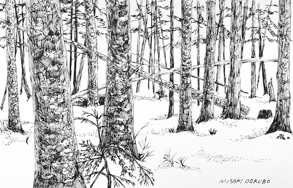 北八ヶ岳　シラビソ小屋周辺　冬の森　2020.  Ink on paper. 
