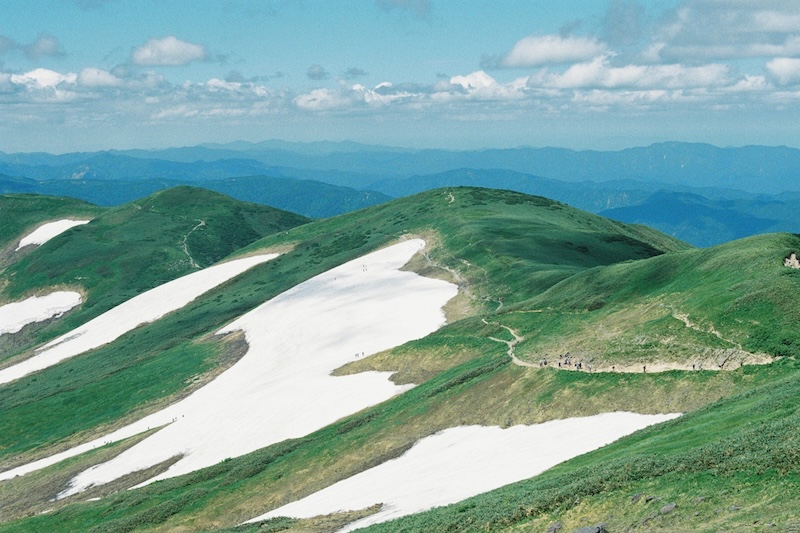 緑と白　夏の月山へ　2025.7.21