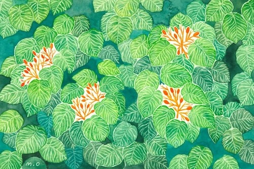 「赤い実」　Watercolor.    2024　