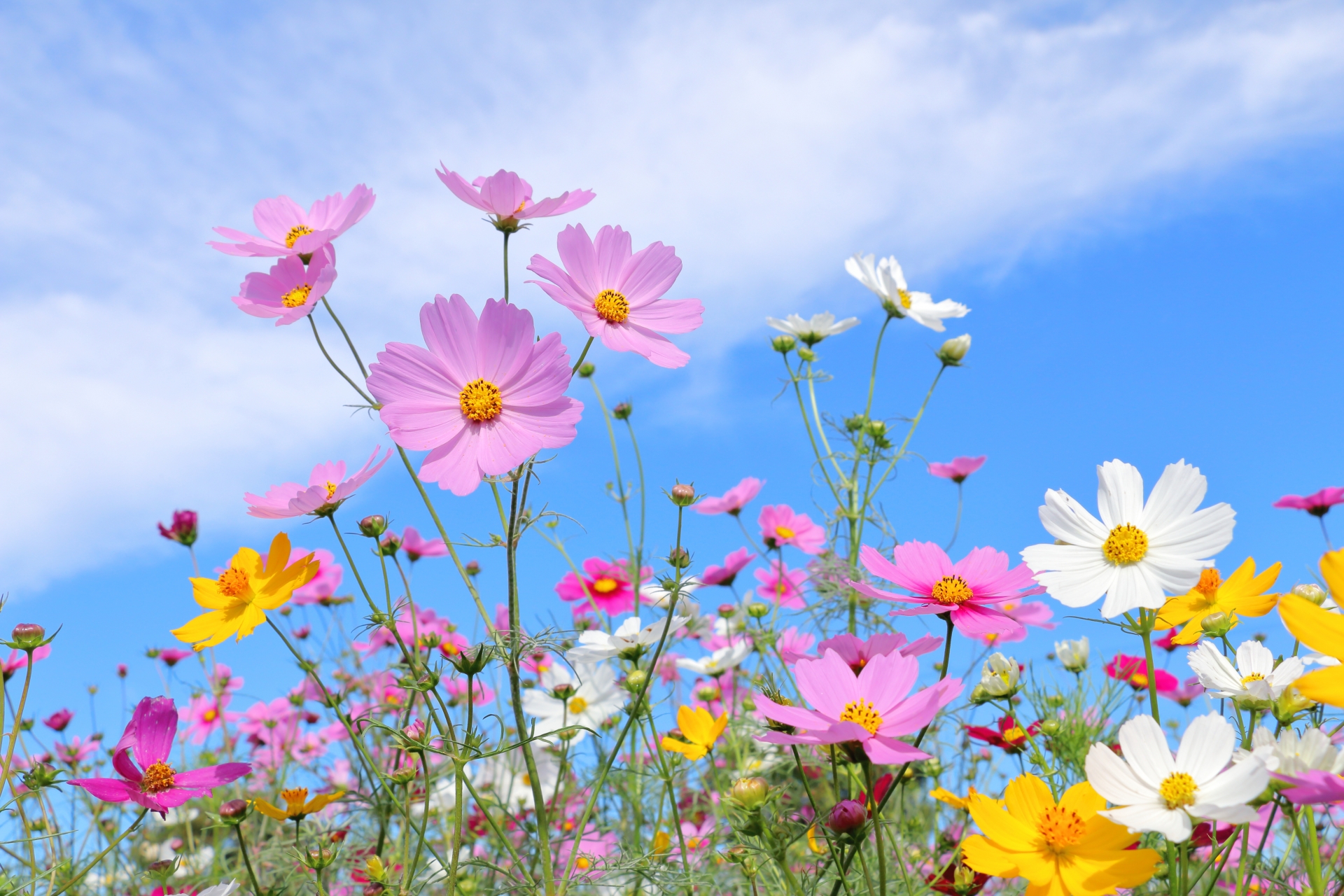 秋の乾燥、内側から潤う美容ケアで輝く素肌へ