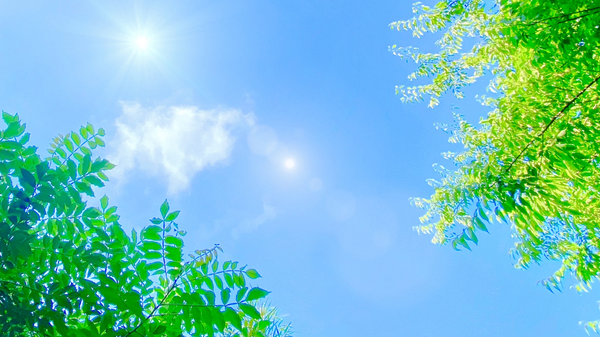 温かくなった今がチャンス！ 夏を快適に過ごす「賢い温活」、始めませんか？
