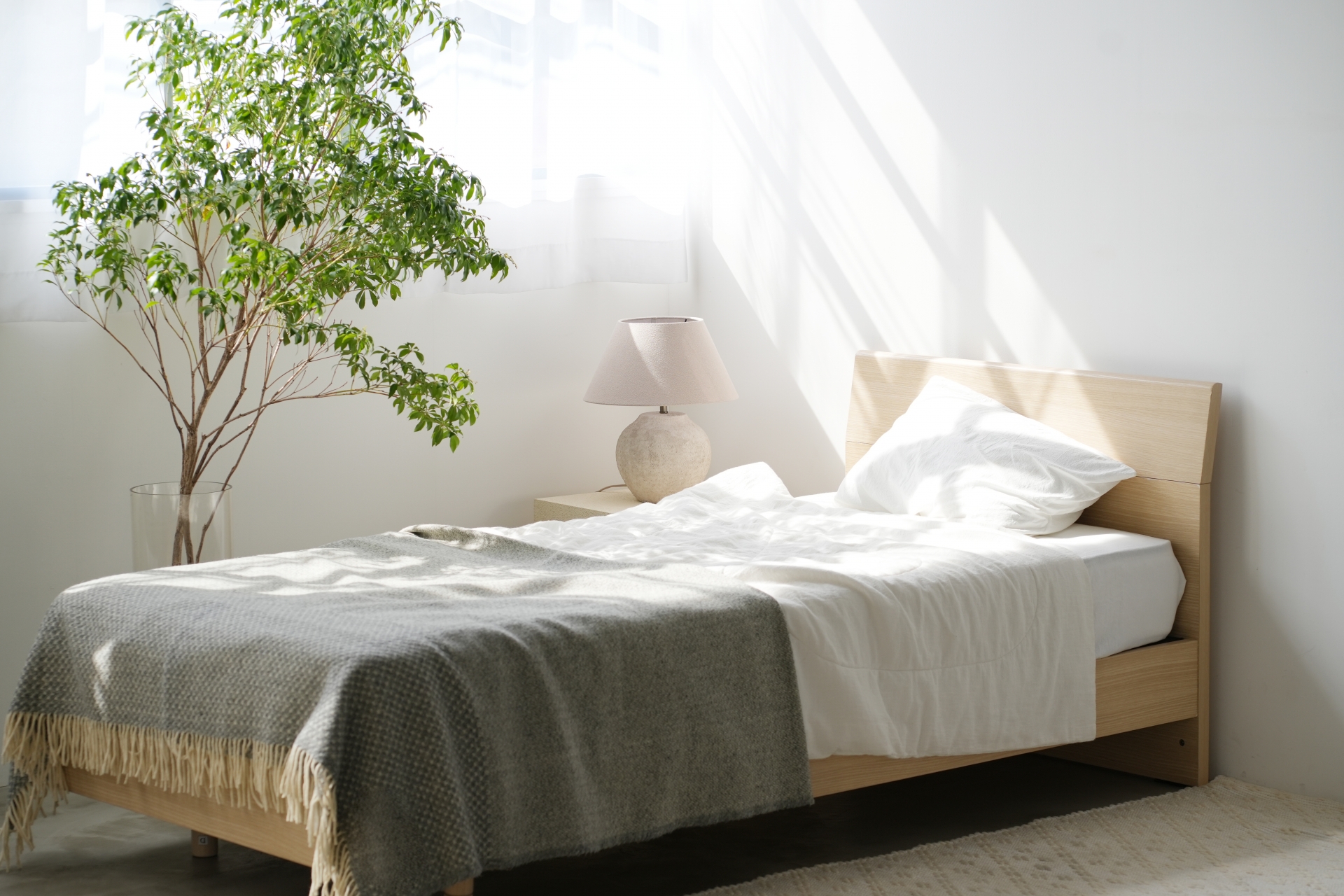 この季節の「睡眠の質の低下」 こんな原因が！