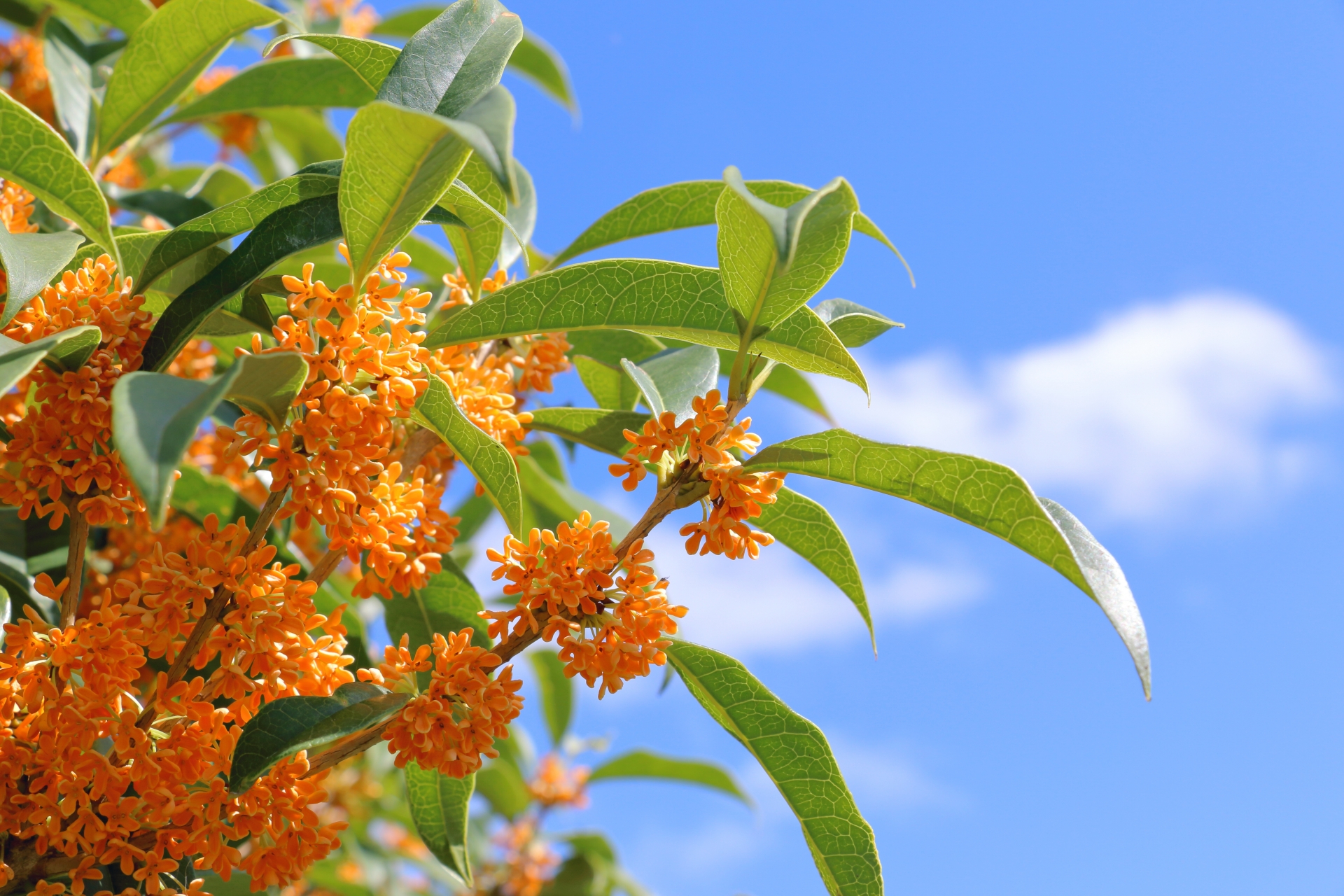 冷えが心をざわつかせる？温活で穏やかに