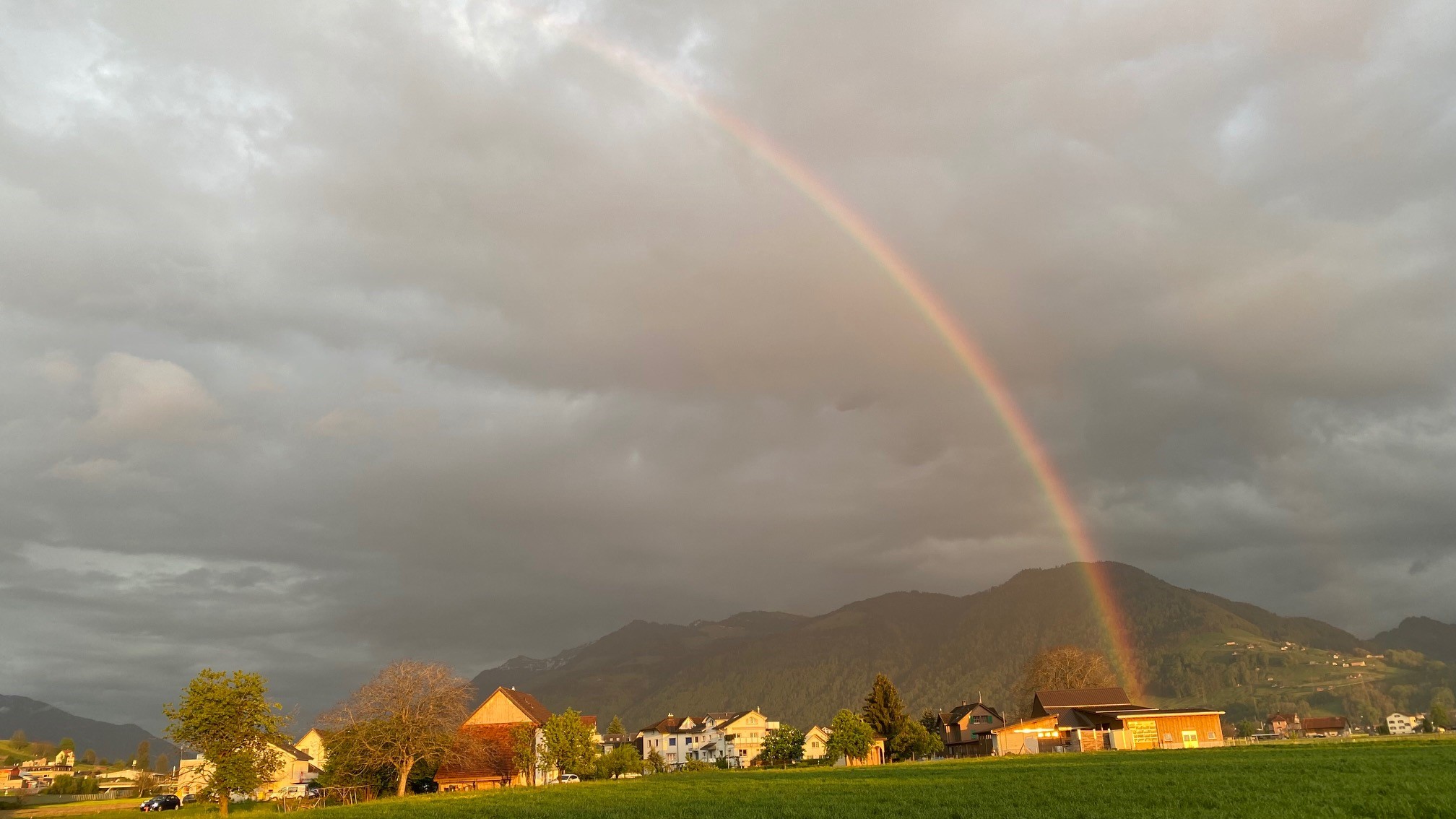 Regen + Sonnenschein = Regenbogen