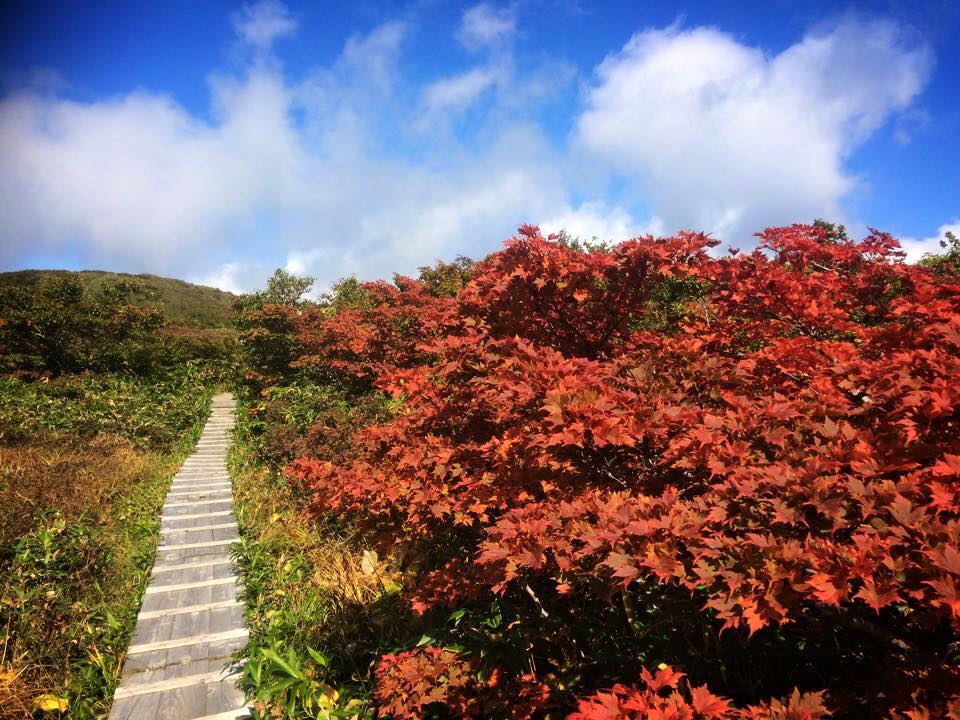 紅葉の白木峰散策ガイドツアー