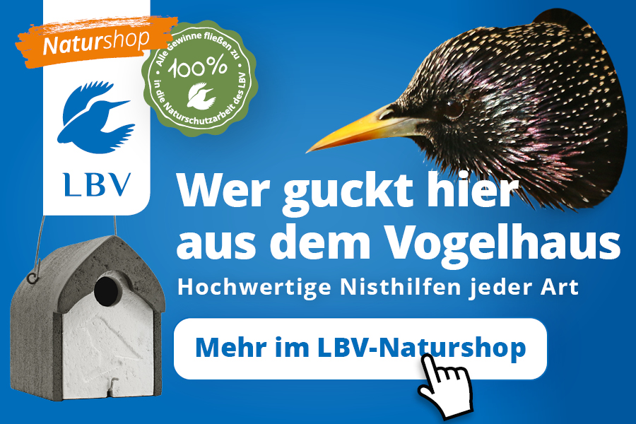 Nistkästen im LBV Shop