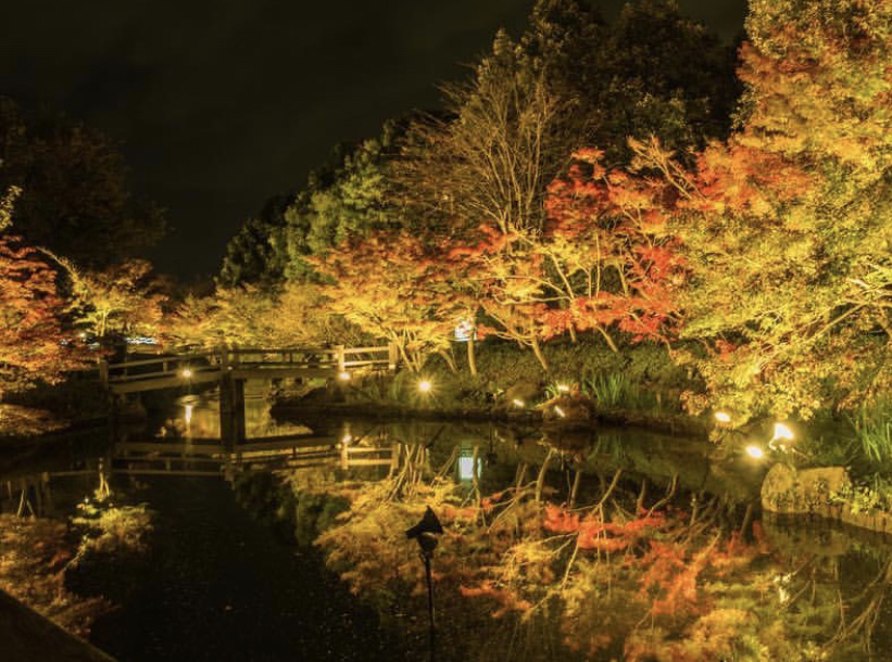なばなの里(三重県長島)Photo by PhotoBAKA〜フォトバカ〜
