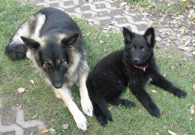 mit Mama (Xenia)