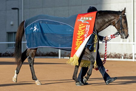 シンザン🏆️🏇優勝