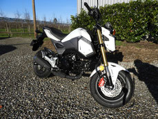 Honda MSX 125er, Klasse A1